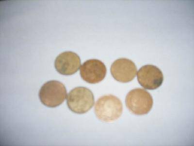 科学小实验(6)——5角硬币变得金灿灿!作文