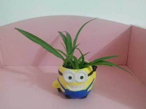 ֵ