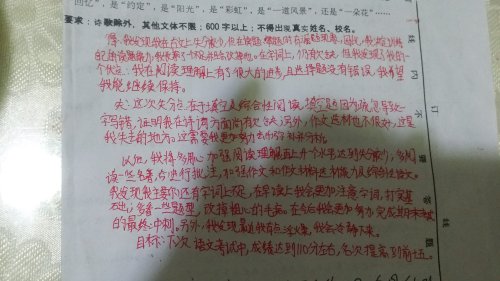 期中考试总结(初一下学期)作文