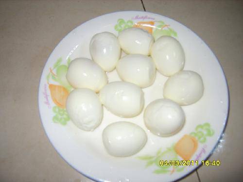 衱֮Ҳ¶