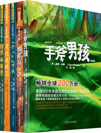 一套属于男孩的书作文