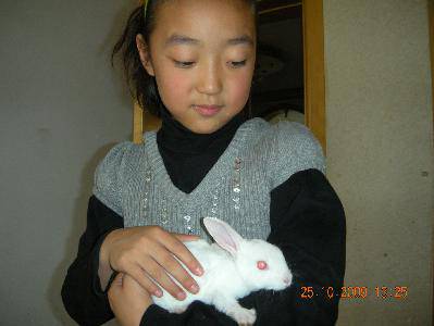 小白兔茸茸作文