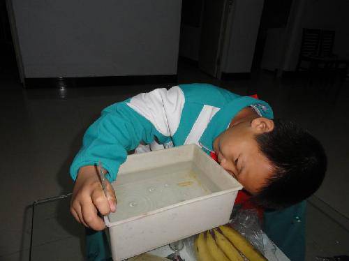 给土豆测量体积【数学日记】作文