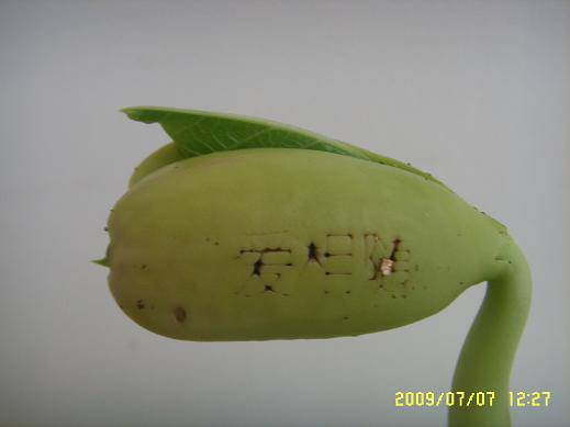 ħ