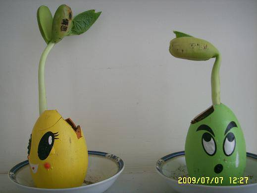 ħ