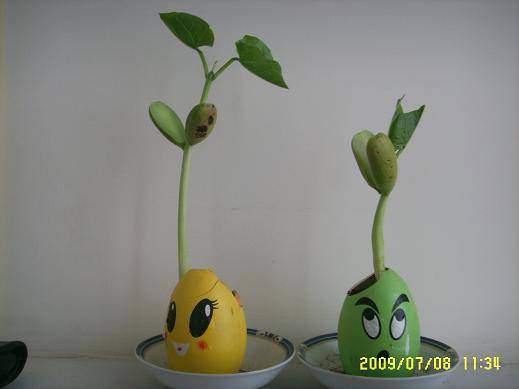 ħ