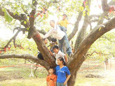 采摘欢乐 品味甘甜——记第七期家庭读书会作文