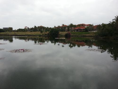 ֮-齭Ȫ