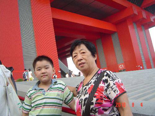 畅游世博园——酷暑游世博(2)作文