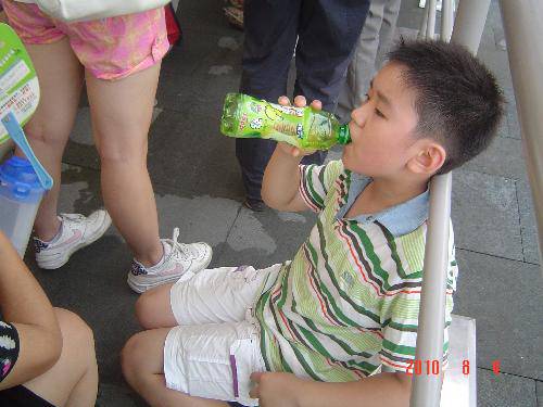 畅游世博园——酷暑游世博(2)作文