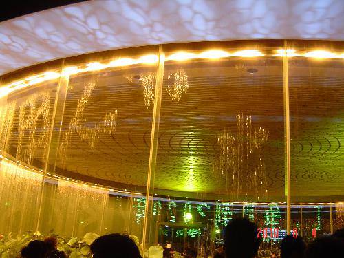 畅游世博园——酷暑游世博(2)作文