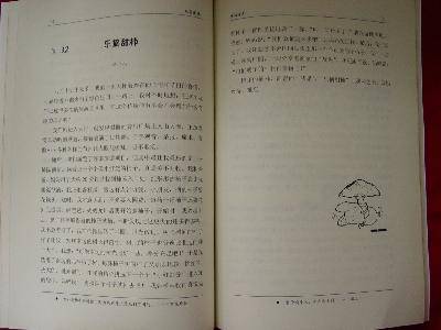 最是醉人油墨香作文