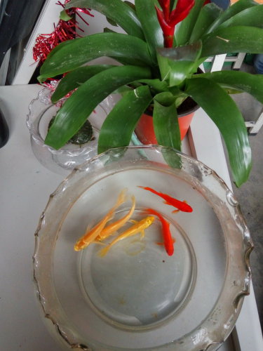 春韵——三月新教育记事作文