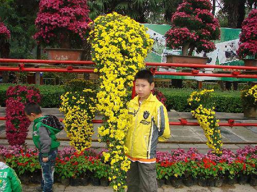 游王城公园之菊展篇作文