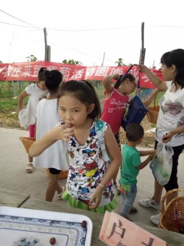 摘葡萄去喽!作文