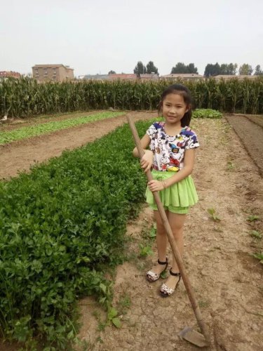 摘葡萄去喽!作文