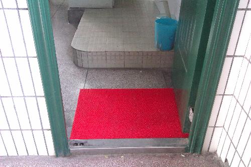 如此幸运,能与你一路同行作文