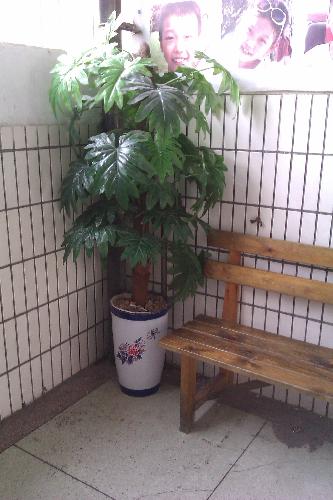 如此幸运,能与你一路同行作文