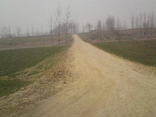 走,我们去远足!作文