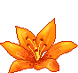 ҿ