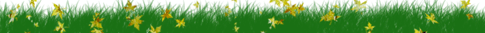 Ѽǧָߣģ -  - ͵Ĳ