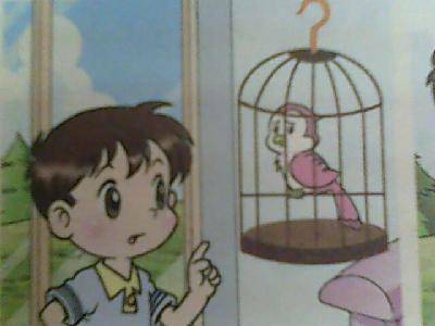 小鸟,回家吧作文