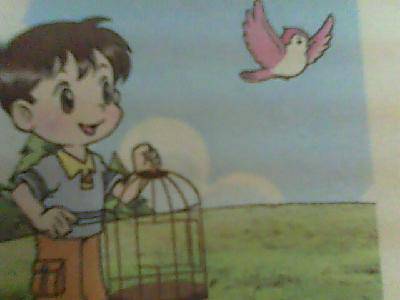 小鸟,回家吧作文