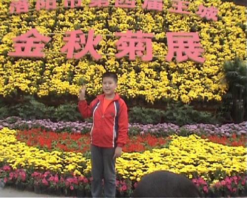 十一王城公园赏菊展作文