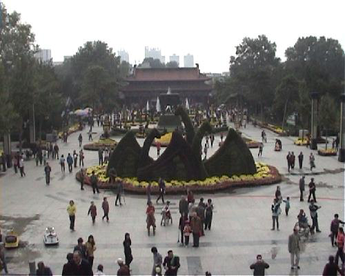 十一王城公园赏菊展作文