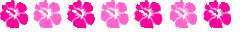 Ѽǧָߣ -  - ͵Ĳ
