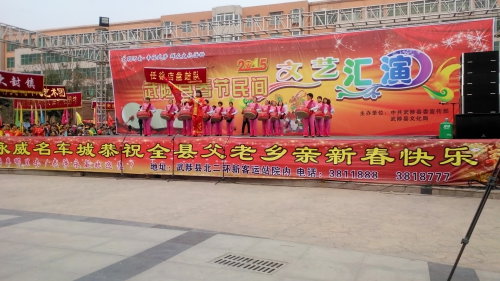 不一样的元宵节作文