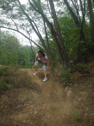 探索的印记作文