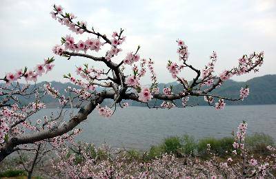 죬ȥ̤