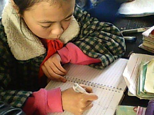 依米花开,诗意悠悠作文