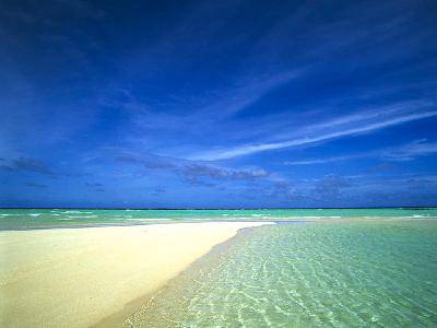 新学期学生的第一篇数学日记作文