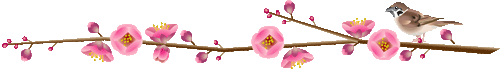 50069