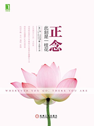 ����˿���һ֦��