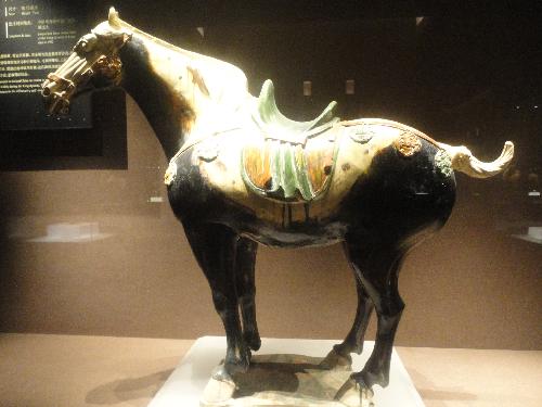 洛阳博物馆一日游作文