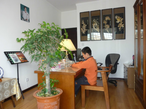 《月光秋色》作文