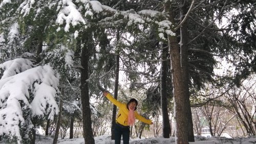 ѩȤ