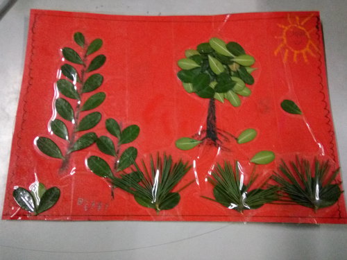 和女儿一起成长真美作文