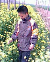 我找到了春天作文