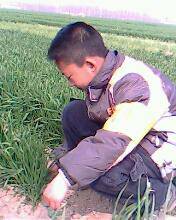 我找到了春天作文