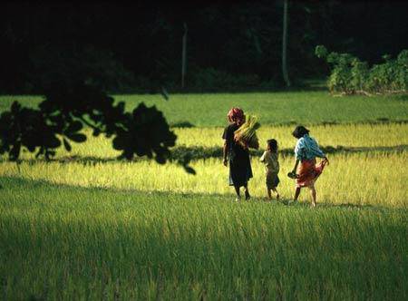 中考作文每日一练(三)作文