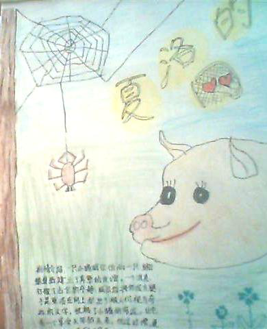 《夏洛的网》海报设计作文