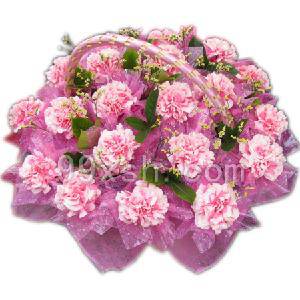 永远的康乃馨作文