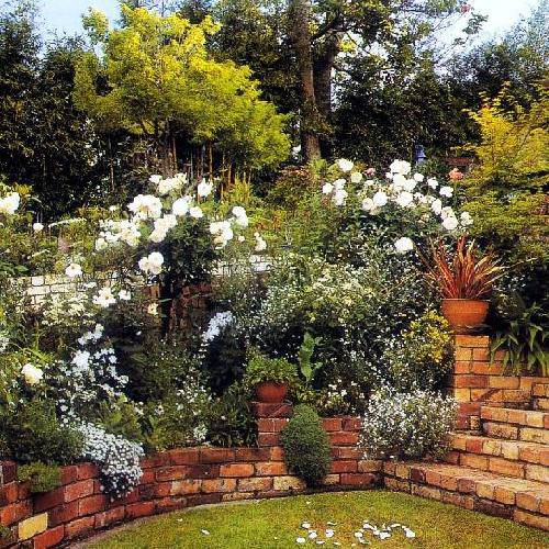 小镇里的歌作文