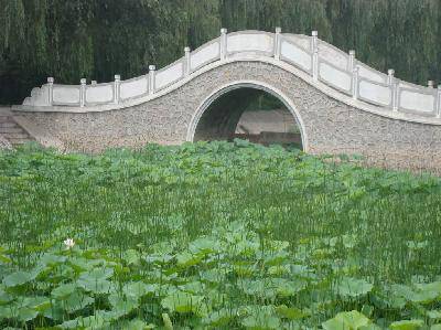 快乐的毛楼游作文