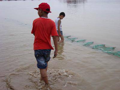 快乐的毛楼游作文