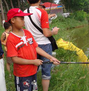 快乐的毛楼游作文